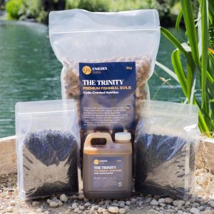 The Session Pack (Bundle)